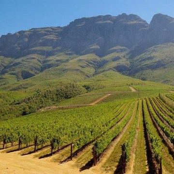 Tokara 39
